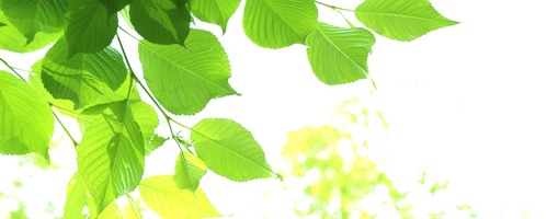 �����X �C�[�G���G�X�P�A�iONCE EMS Care�j�̔��T�C�g��